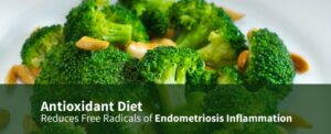 The Relationship Between Endometriosis, Inflammation and Diet