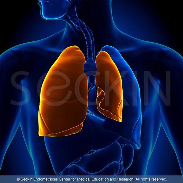 The image above shows a left lung pneumothorax