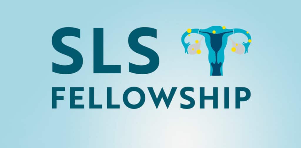 SLS Fellowship